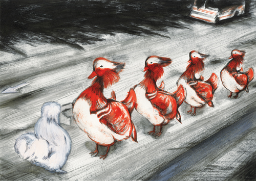 Duck Protesting to Four Hens
